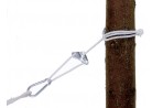 Corde
