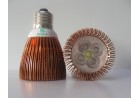 Ampoule