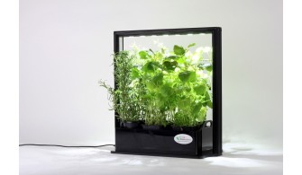 Serre Lumineuse pour aromates - EcoHerb - 17W