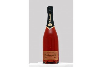 Champagne Brut rosé